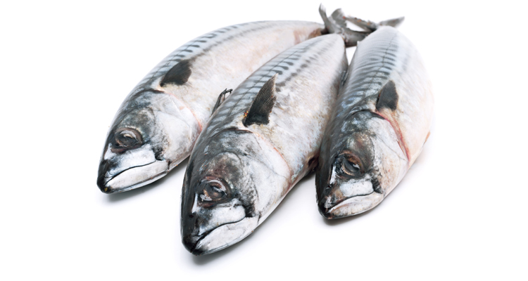 Cantidad de pescado azul recomendado a la semana