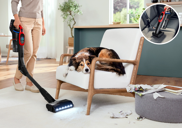 Una persona está pasando la aspiradora Bosch en un salón mientras su perro descansa en una silla